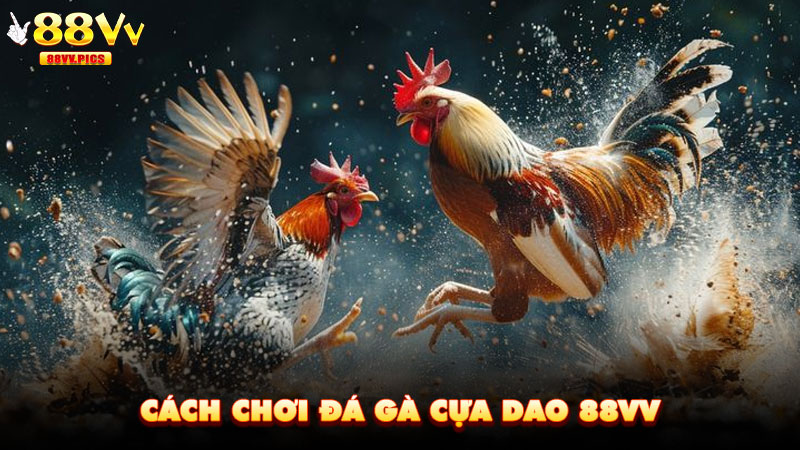 Cách chơi Đá Gà Cựa Dao 88VV