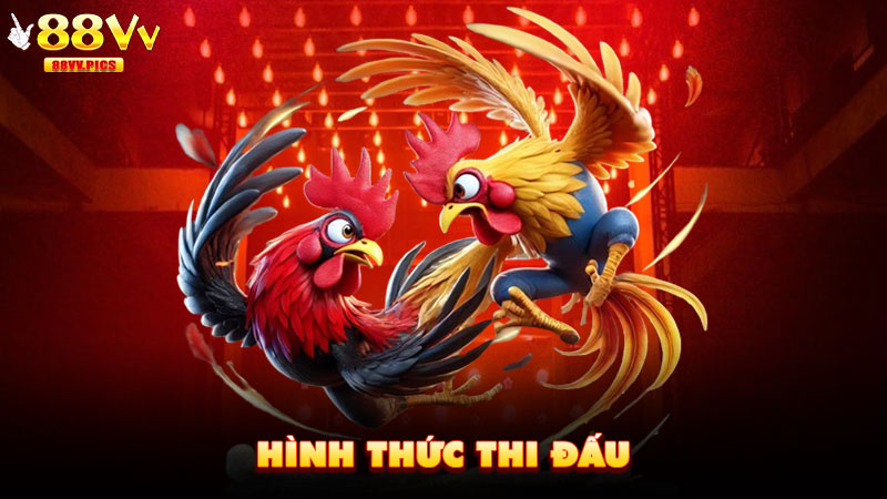 Hình thức thi đấu