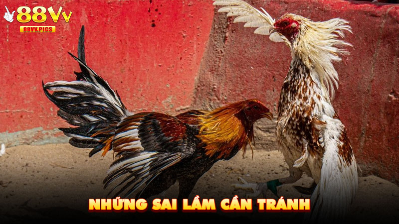 Những sai lầm cần tránh