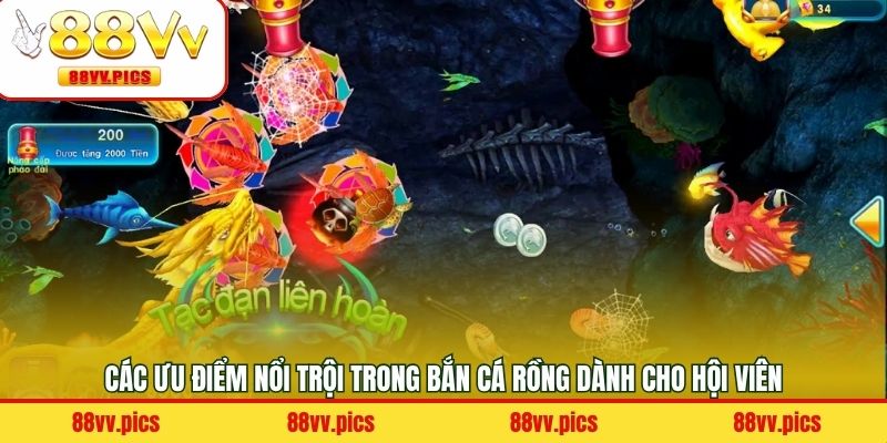 Một số ưu điểm hấp dẫn khi săn cá rồng tại 88VV
