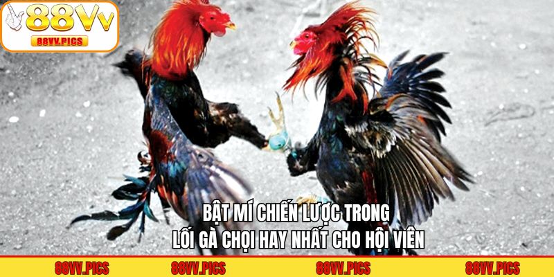 Bật mí chiến lược trong lối gà chọi hay nhất cho hội viên