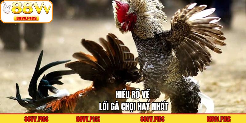 Hiểu rõ về lối gà chọi hay nhất